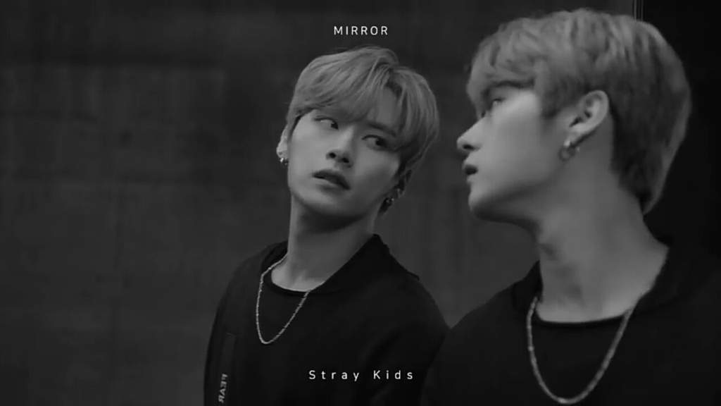 DON'T KILL Me!! Stray Kids Amino