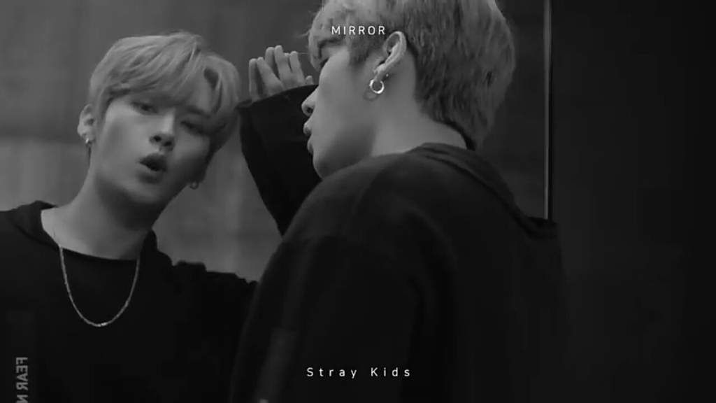 DON'T KILL Me!! Stray Kids Amino