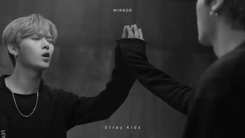 DON'T KILL Me!! Stray Kids Amino