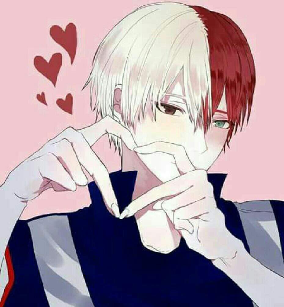 Quiz Sobre Todoroki Shouto [Fácil/Médio] | □ Boku No Hero Academia □ Amino