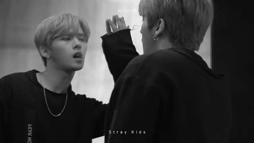 DON'T KILL Me!! Stray Kids Amino