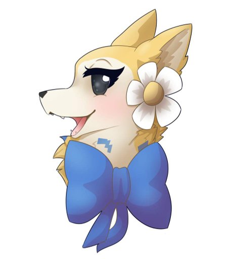 AJPW Arctic Wolf Drawing | AJ Amino Amino
