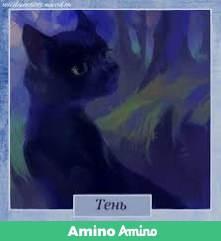 Тень | Wiki | Коты-Воители | Звёздный Путь Amino