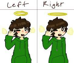 Wich one is better Left hand or Right hand | 🌎Eddsworld🌎 Amino