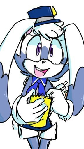Detailed sonic oc template wiki sonic the hedgehog amino