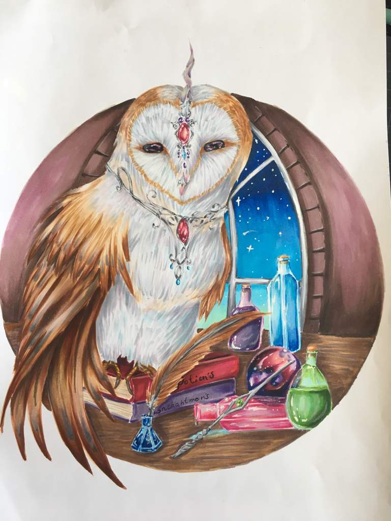 traditional owl drawing