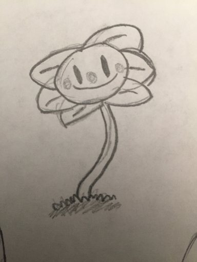 Flowey Sketches | Wiki | Undertale AUs Amino