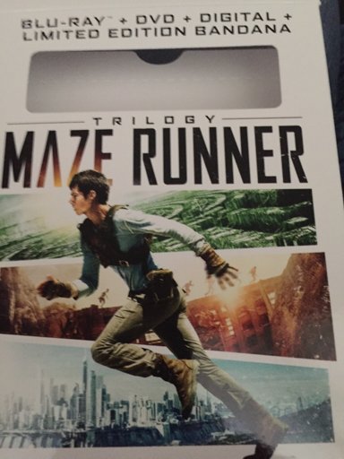 The Maze Runner Trilogy DVD Pack | The Glade Amino