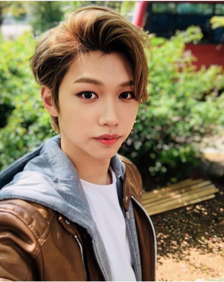 Felix~ | K-Pop Amino