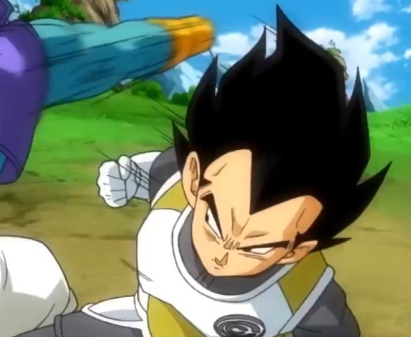 vegeta in capsule