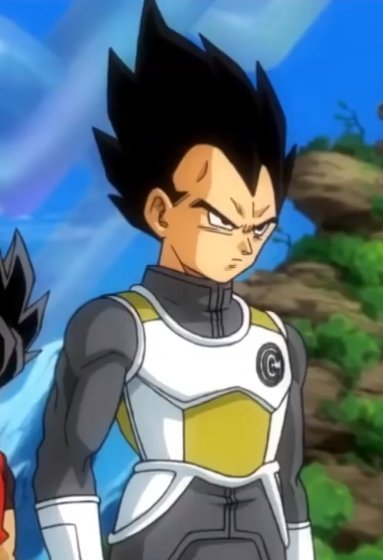 vegeta in capsule