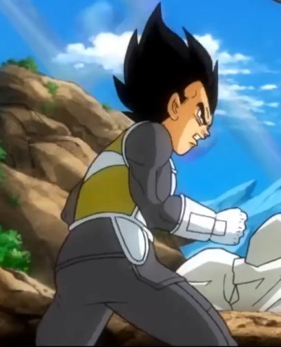 vegeta in capsule