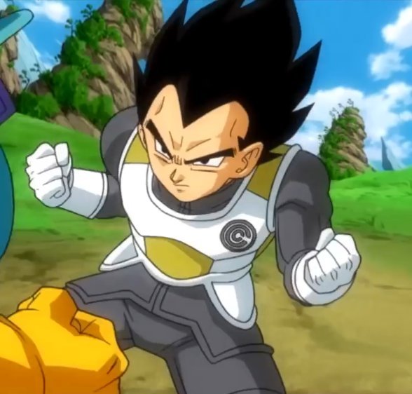 vegeta capsule corp armor