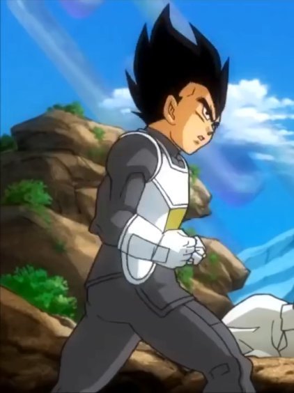 vegeta in capsule