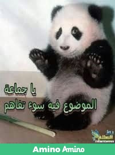 إذا فتحت موضوع عند اهلي و قلب مهاوشة نور الله Amino