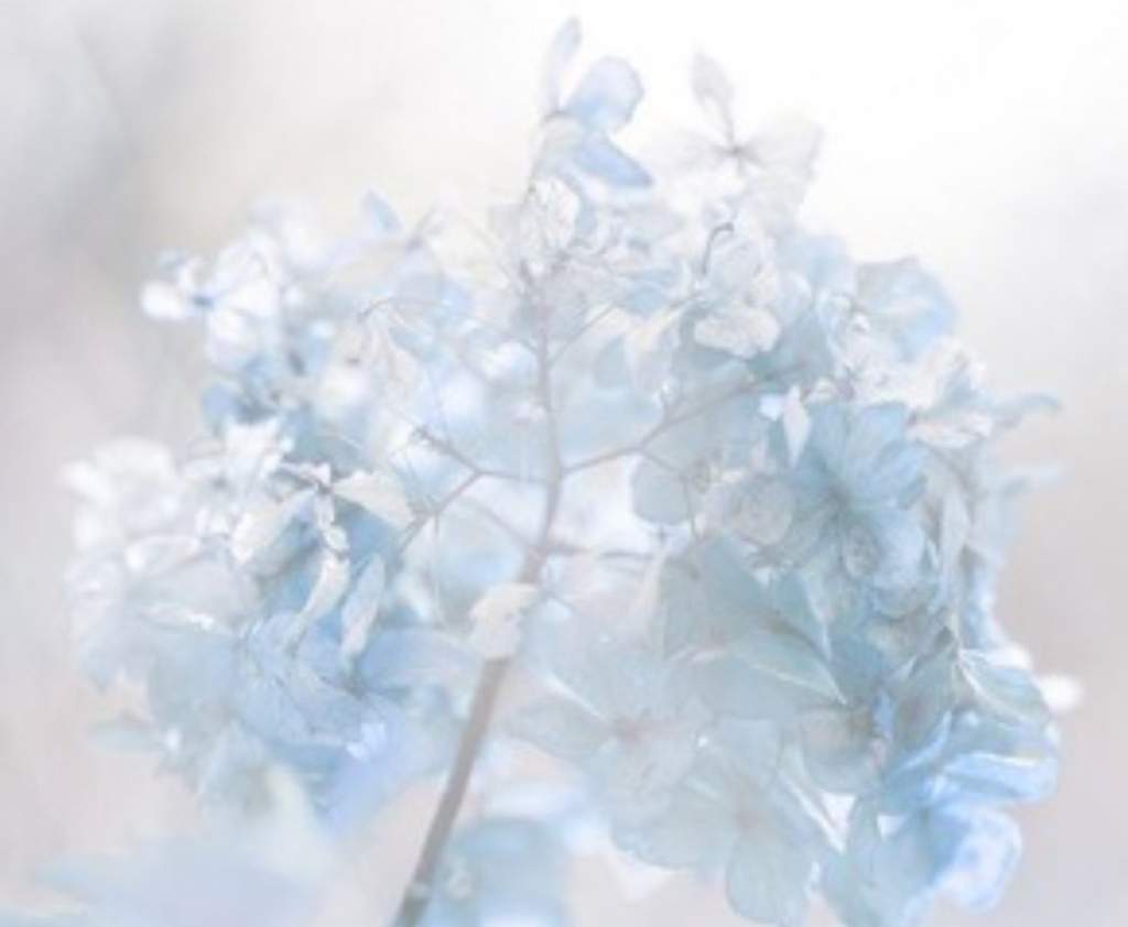 ☁️ Pastel Blue Aesthetics ☁️ | Wiki | símply aesthetíc Amino