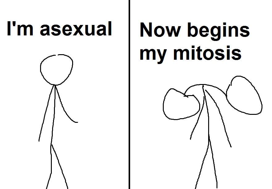 My Top 10 Asexual Memes.