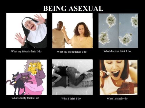 My Top 10 Asexual Memes Virtual Ace Amino