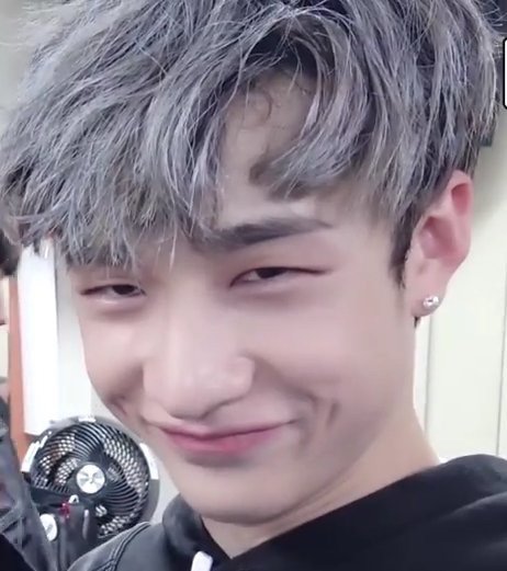 Memes~ | Bang Chan (방찬) Amino