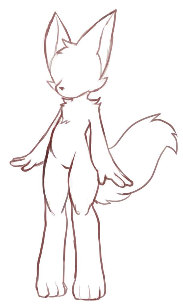 Furry Drawing Base Fox.