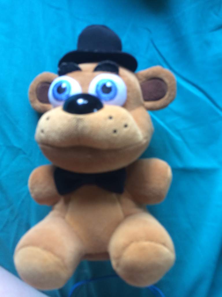 freddy plushy's