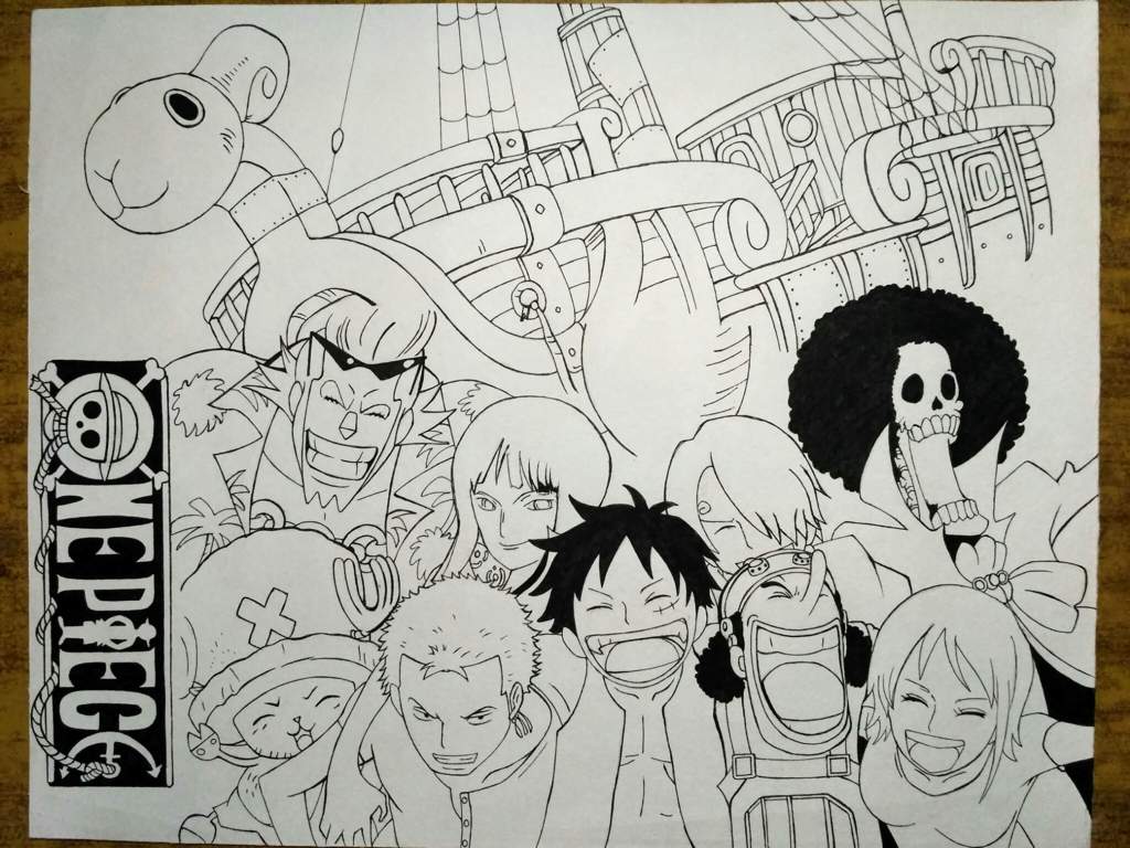 Straw Hat Crew Before The Time Skip Anime Amino