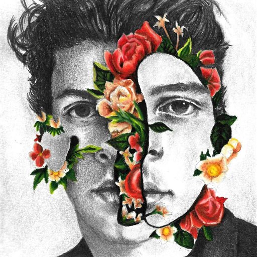 Shawn Mendes | Drawing Amino