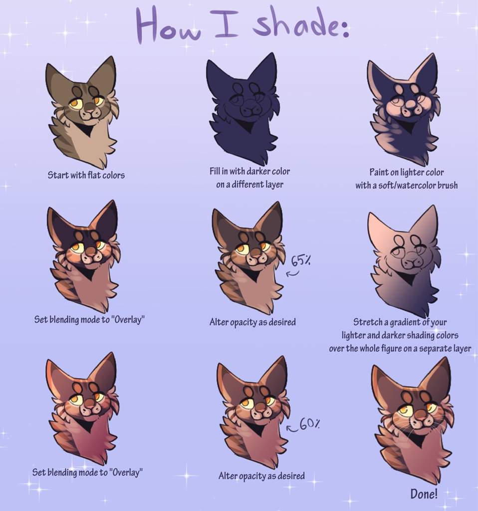 Shading Guide Warriors Amino