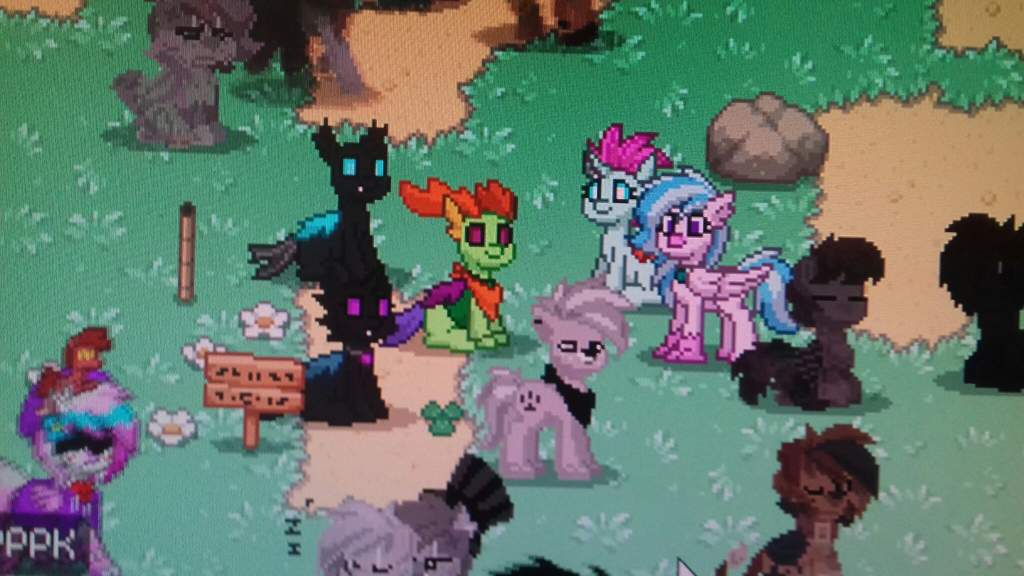 pony town commands emberrased