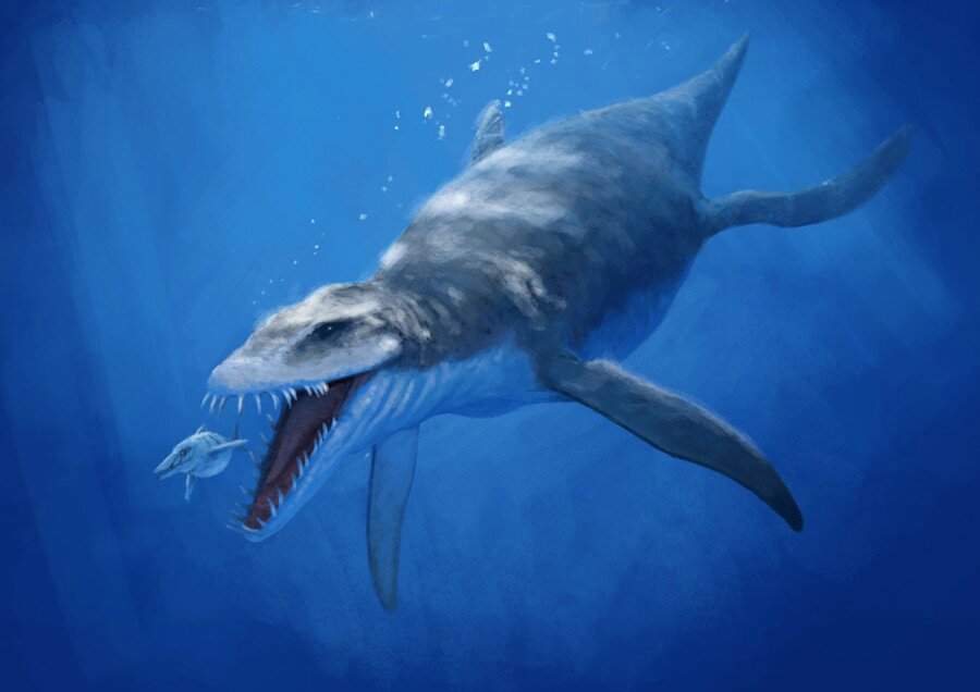 Liopleurodon | Wiki | ⚪Jurassic Park Amino⚪ Amino