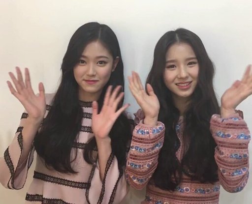 2Jin💞 | Wiki | LOOΠΔ Amino Amino