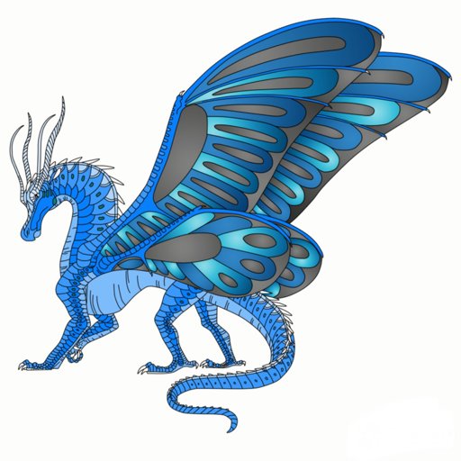 Silkwing adopts | Wings Of Fire Amino