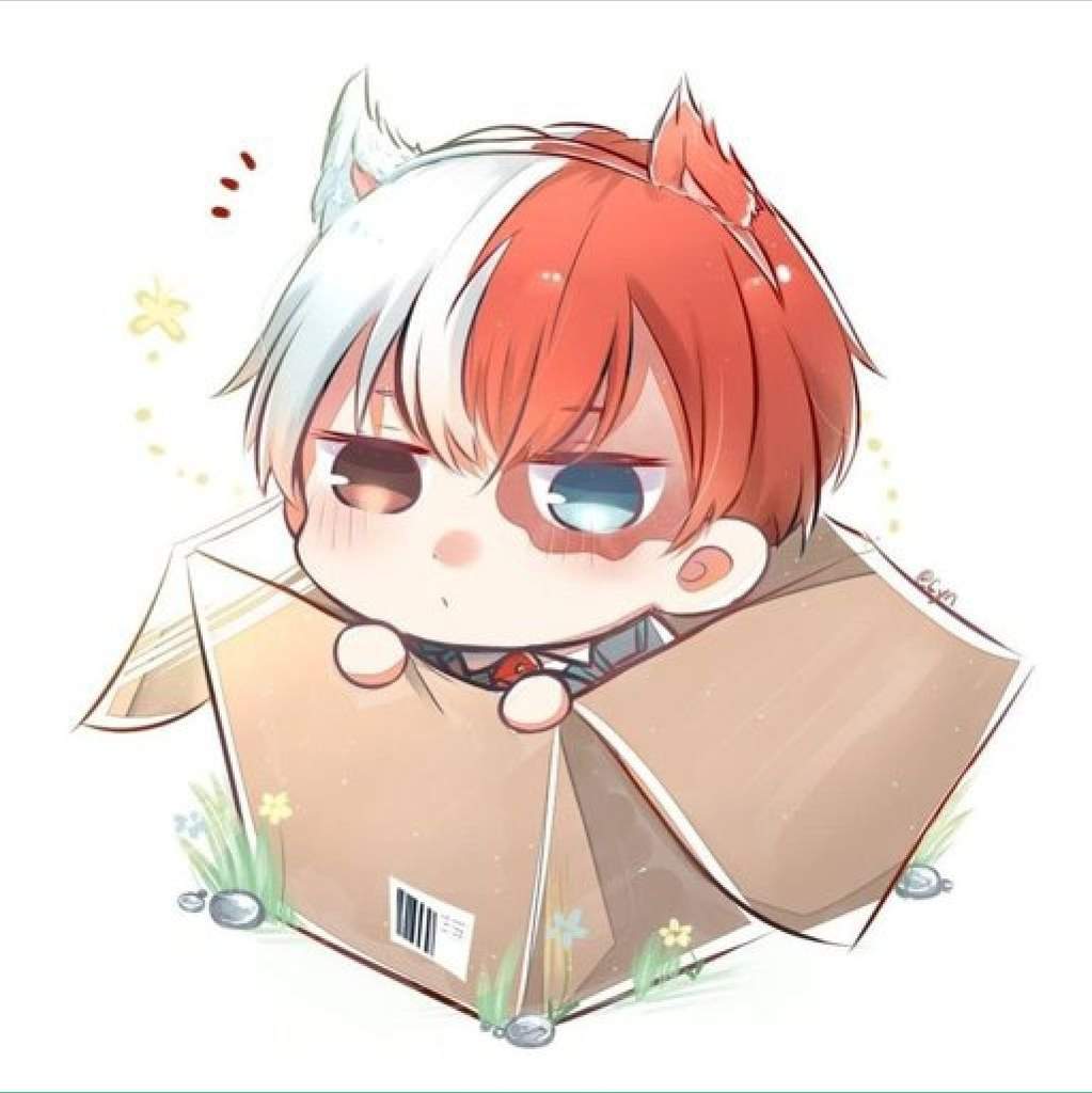 TODOROKI KAWAII😘 | •Anime• Amino