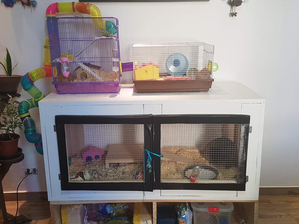 My Diy Cage Hamsters Amino