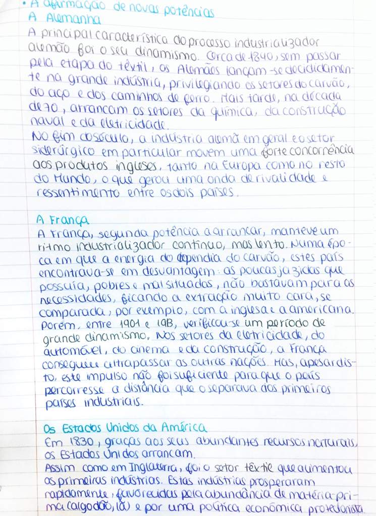 A Set of More History Notes | Studying Amino Amino