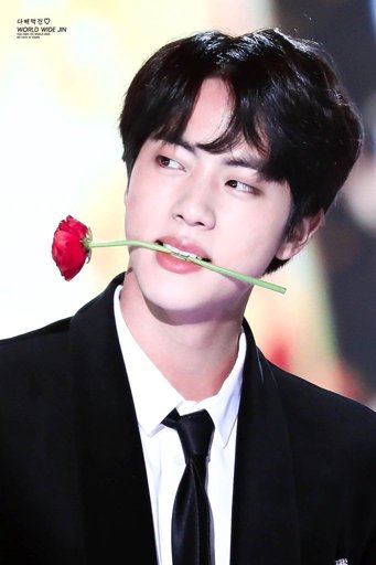 30 Day BTS Challenge: Day 22- Jin Black hair | ARMY's Amino