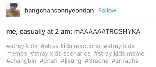 STRAY KIDS MEMES (Tumblr. Edition) | Stray Kids Amino