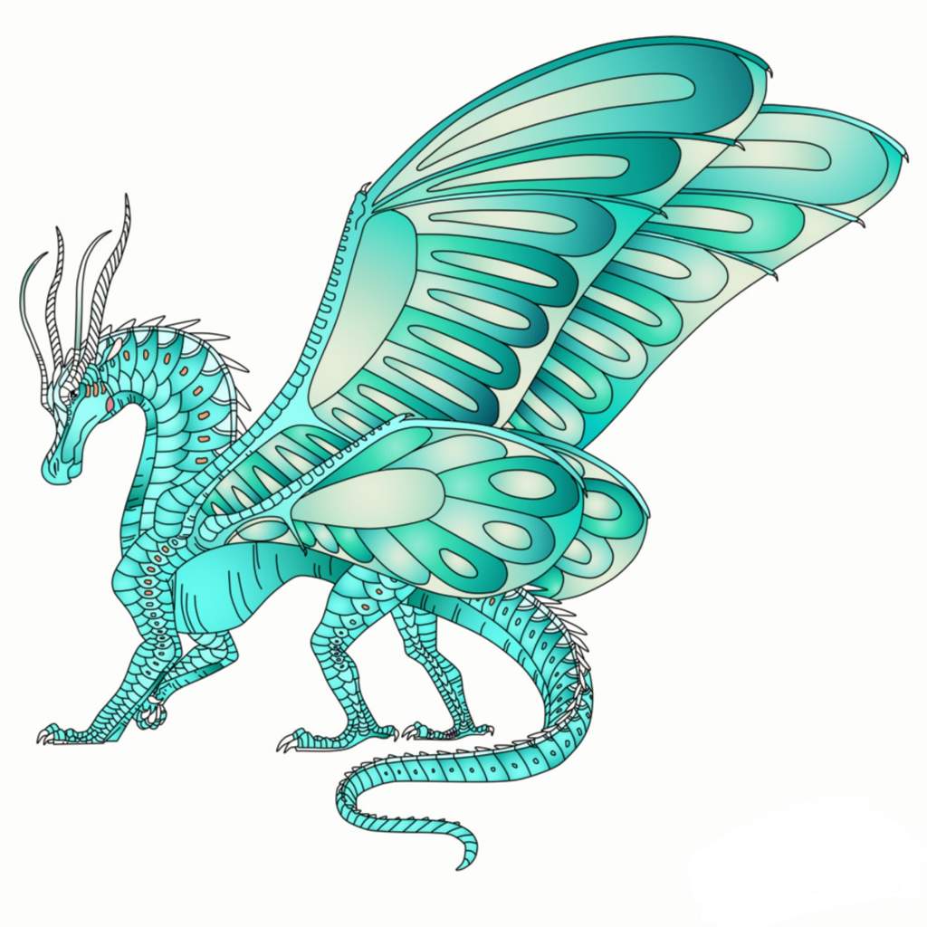 Silkwing adopts | Wings Of Fire Amino