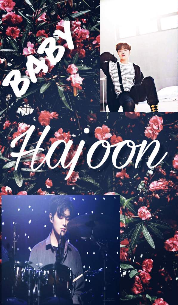 Hajoon Wallpaper The Rose Amino