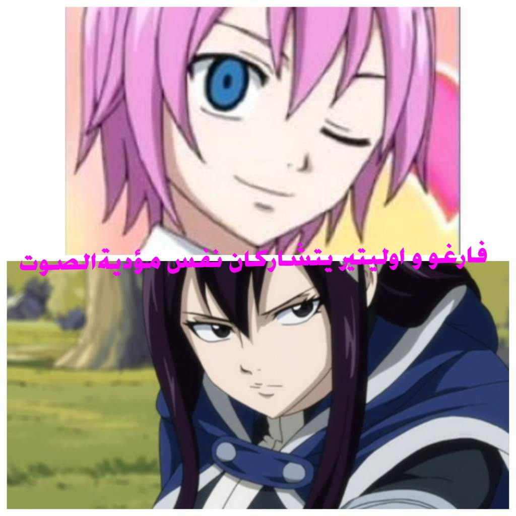 Fact Fairy Tail معلومة ذيل الجنية Wiki امبراطورية الأنمي Amino