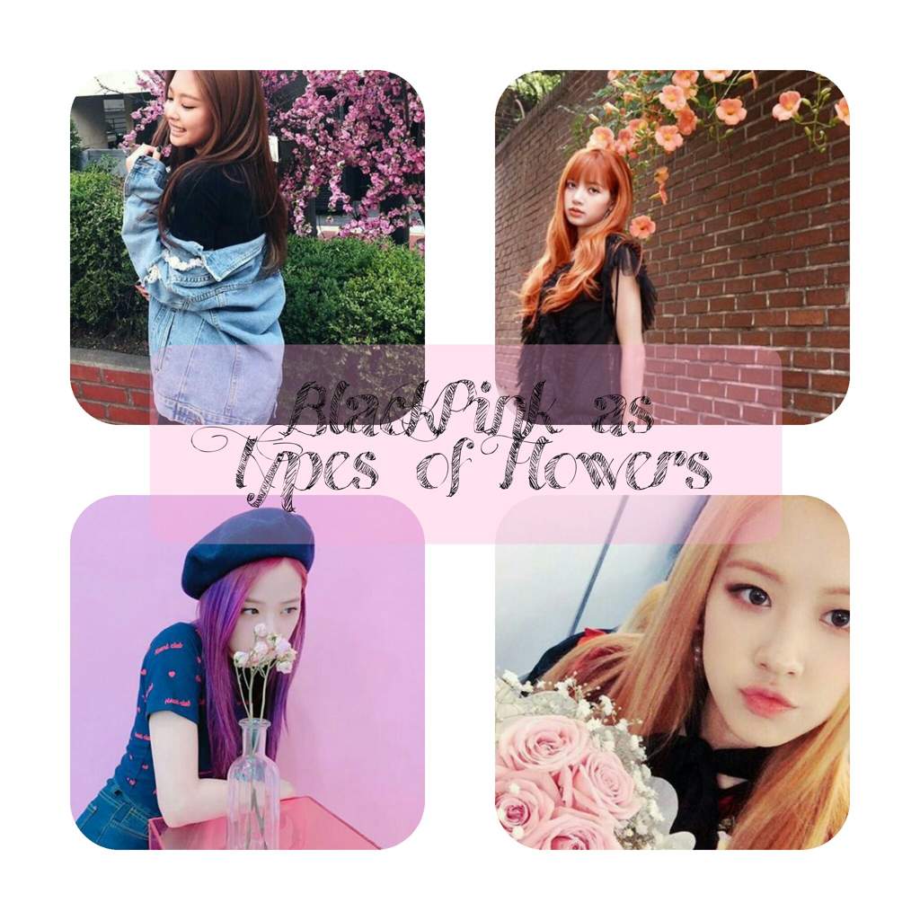  Blackpink  Gambar 