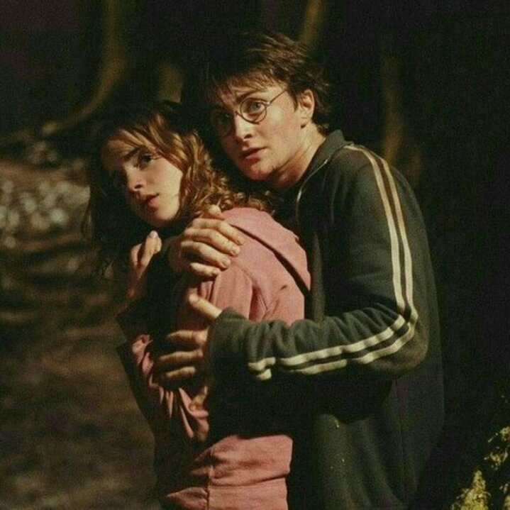 Harmione | Harry Potter Amino