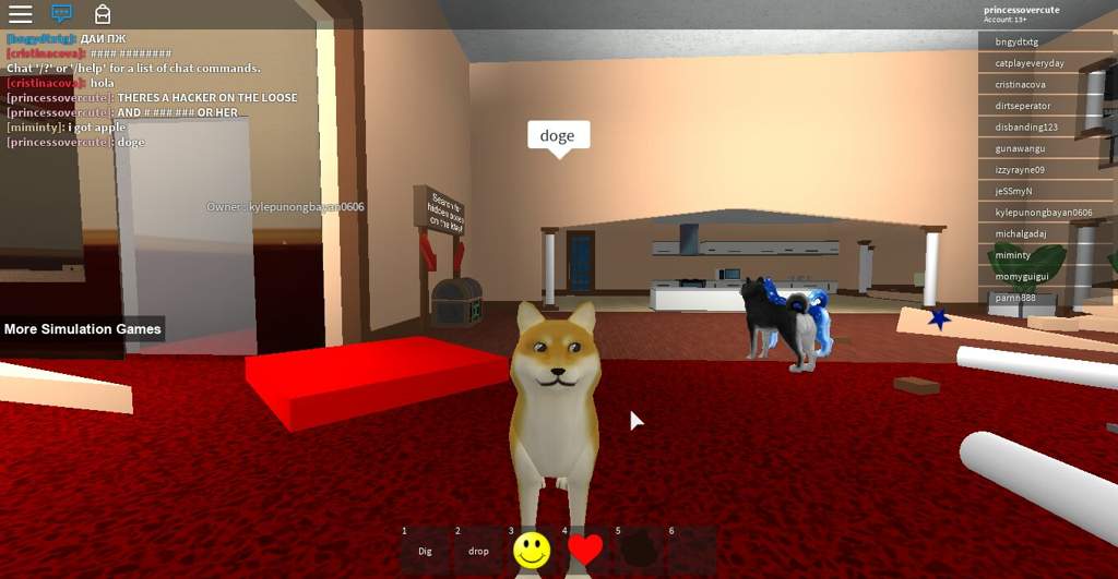 Doge Roblox Amino - doge room roblox