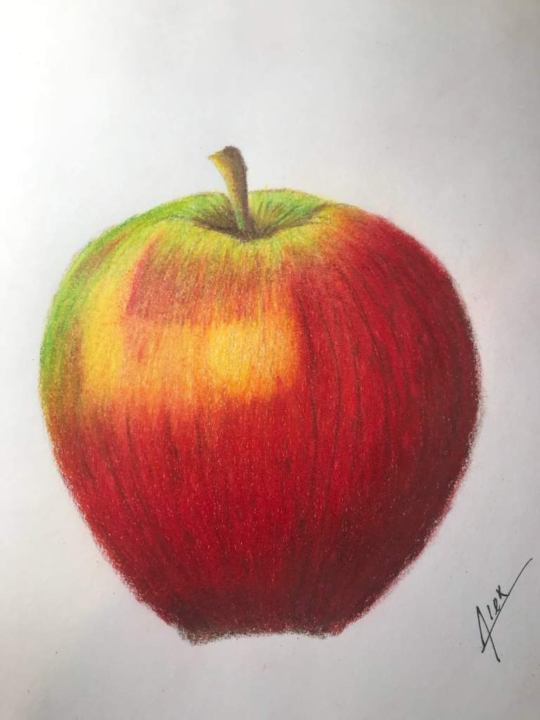 A Quick Colored Pencil Apple Drawing Using Prismacolor Drawing Amino