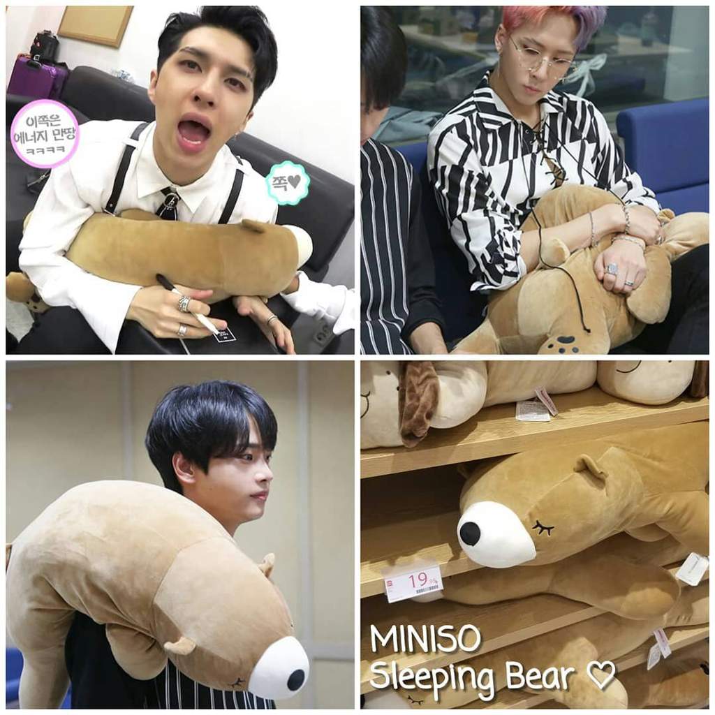 miniso sleeping bear