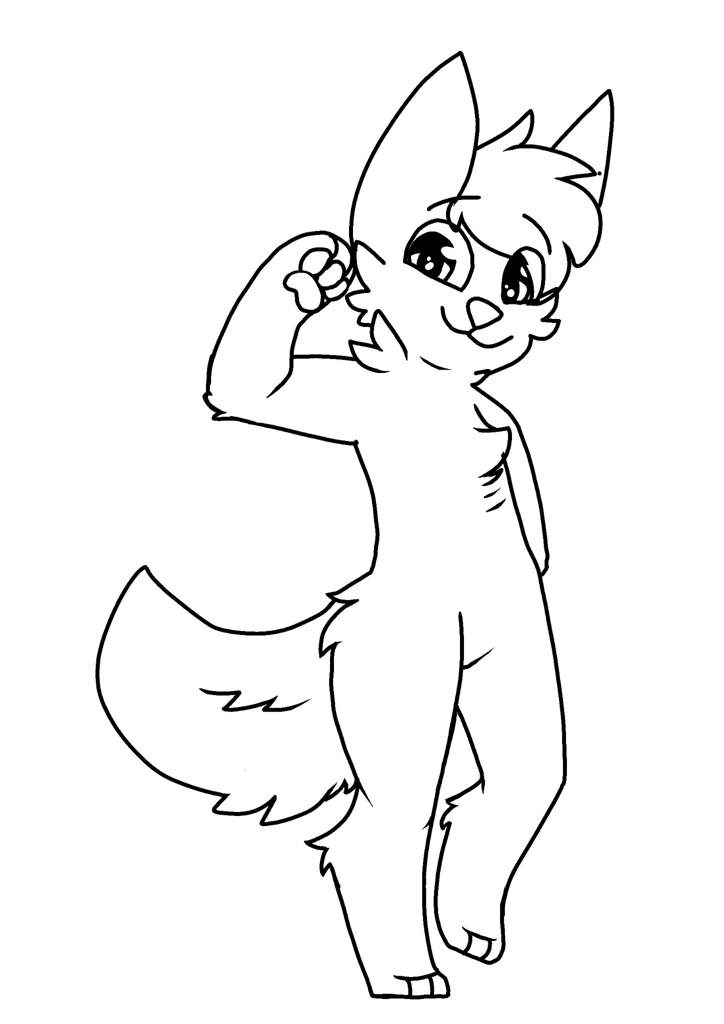 F2u Wolf Lineart : Furry Base Drawing Amino | Bodrumwasurt