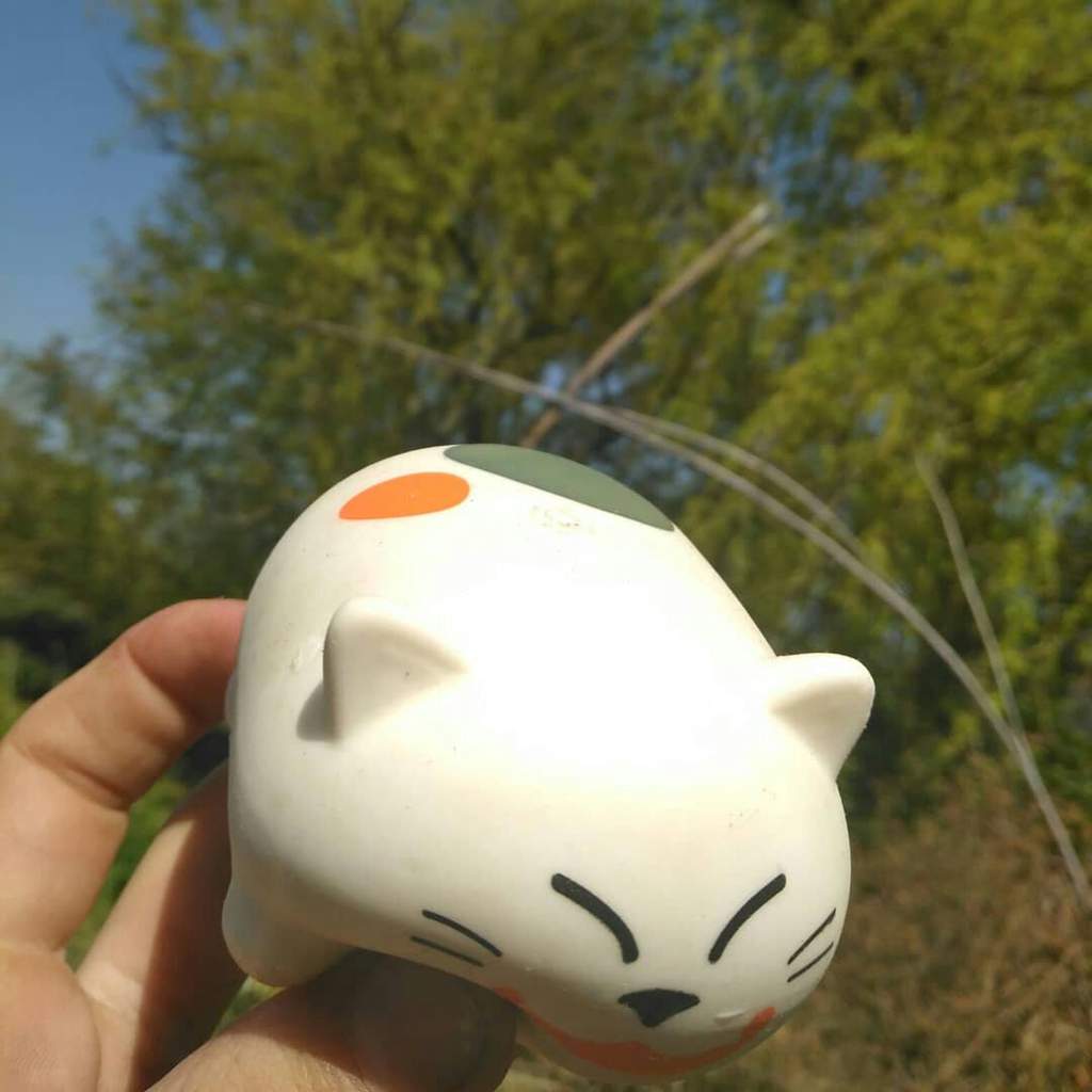 giant mochi squishy