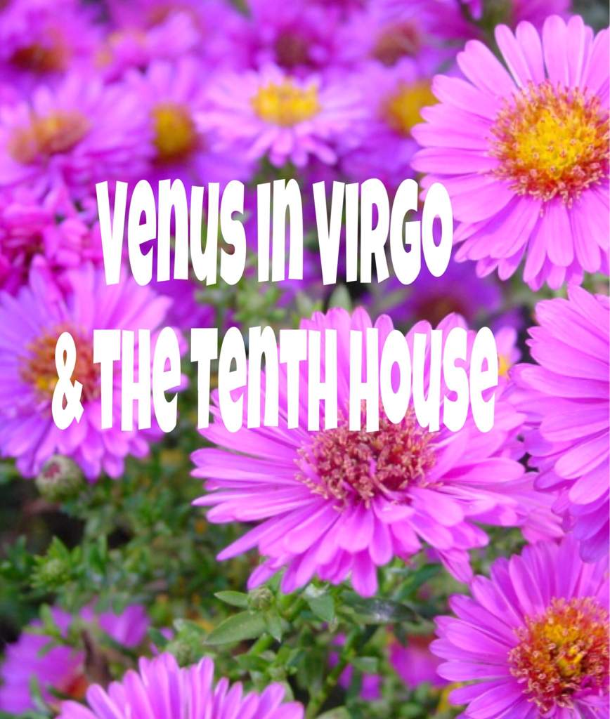 what does my venus in virgo mean