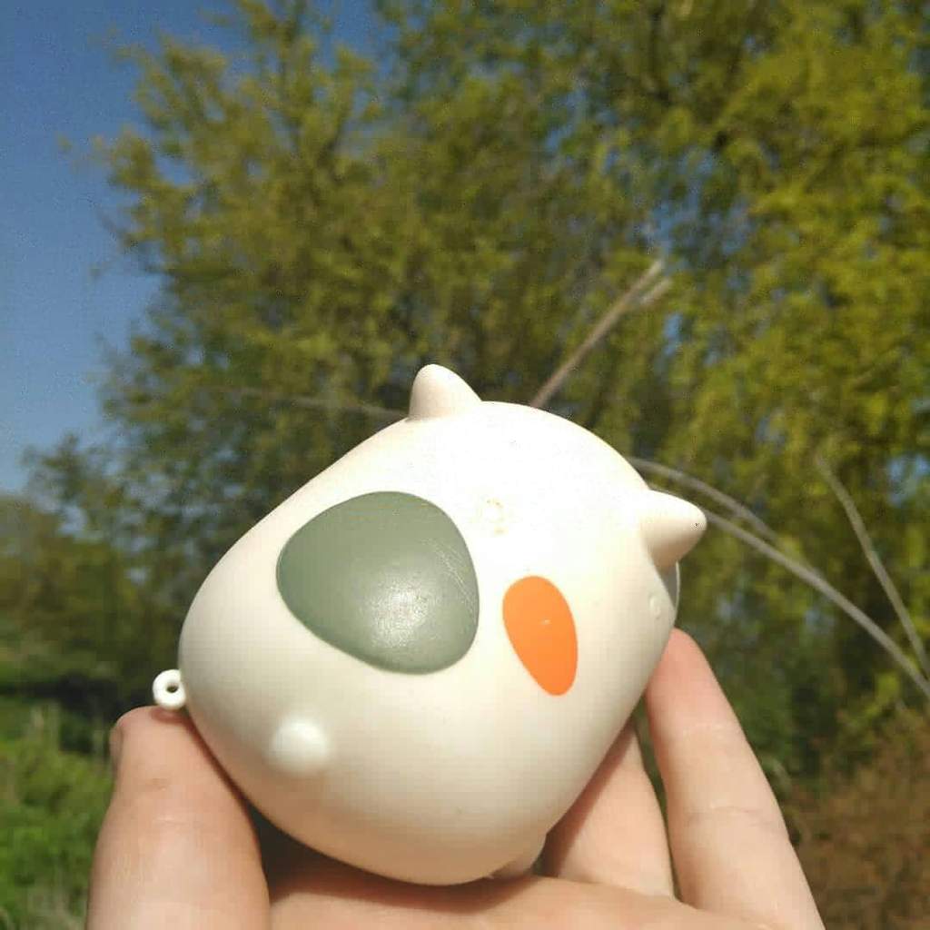 huge mochi squishy
