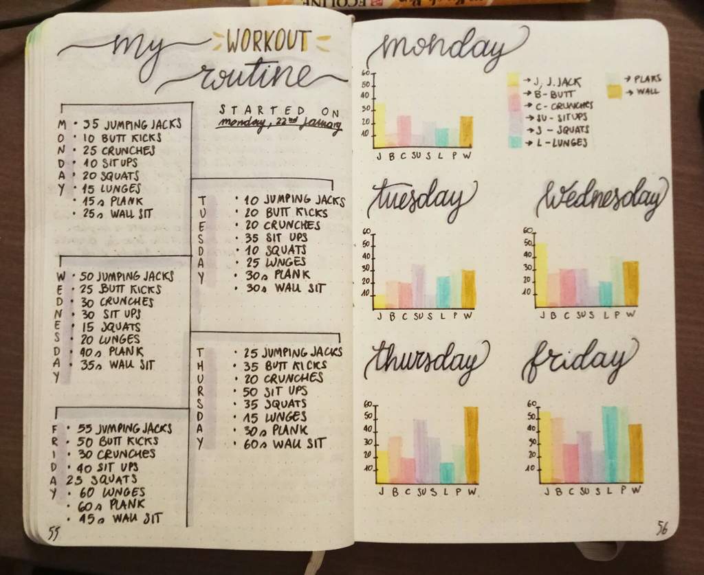 workout-routine-spread-and-graphs-bullet-journal-amino